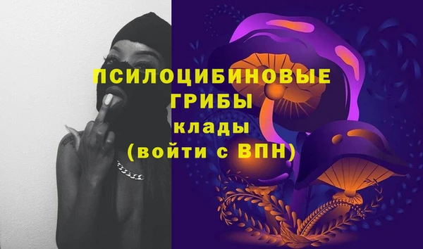 spice Заводоуковск