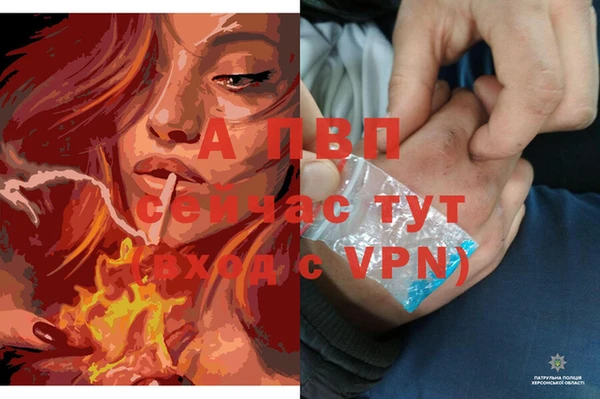 марки lsd Волосово