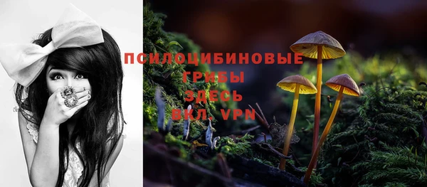 первитин Семикаракорск